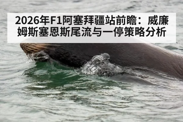 2026年F1阿塞拜疆站前瞻：威廉姆斯塞恩斯尾流与一停策略分析